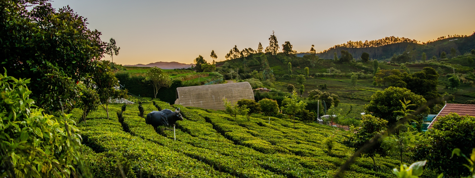 Bangalore - Coorg - Bandipur - Ooty - Mysore tour package